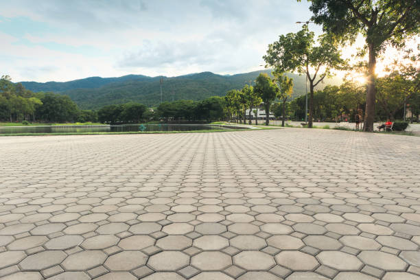 Best Concrete Paver Driveway  in Ball Ground, GA